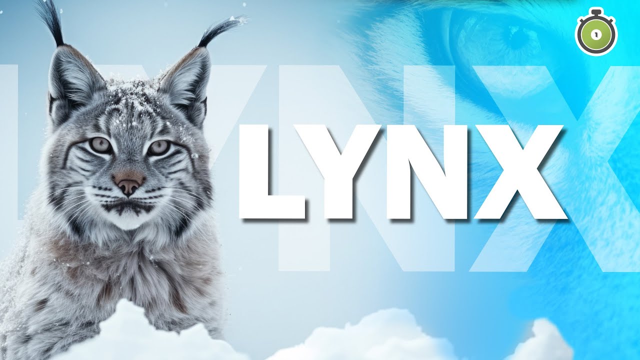 LYNX - The Stealth Hunter Explained | One minute summary