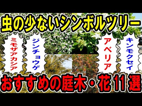 自然に木虫と戦う 庭の練習