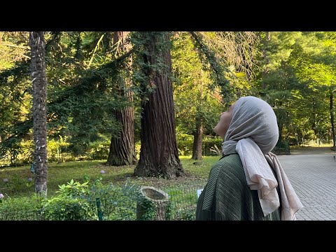 Gamze Şeker - Yüksek Dağlara Doğru cover