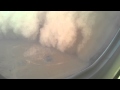 Aeroplane Fly Through Massive Sandstorm Flying Into A Huge Dust Storm