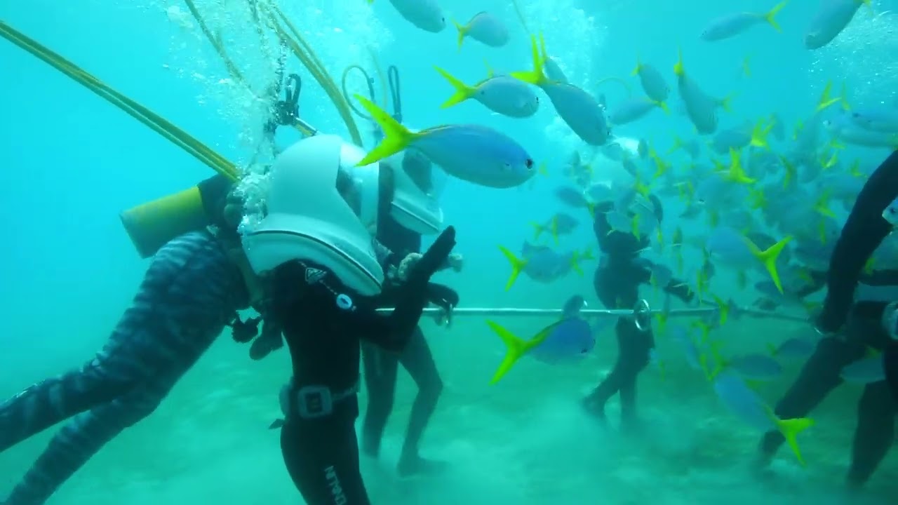 Stroll among coral gardens and the vibrant marine life with Sea Walk experience.