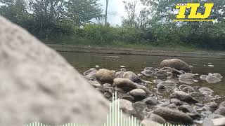 Download lagu SLOWROCK OBATI RINDUKU ARIEF PUTRA - SLOWROCK FULL ALBUM mp3 Download lagu SLOWROCK OBATI RINDUKU ARIEF PUTRA - SLOWROCK FULL ALBUM mp3