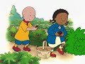 Caillou EPISODE 17 GROWN UPS AND ME