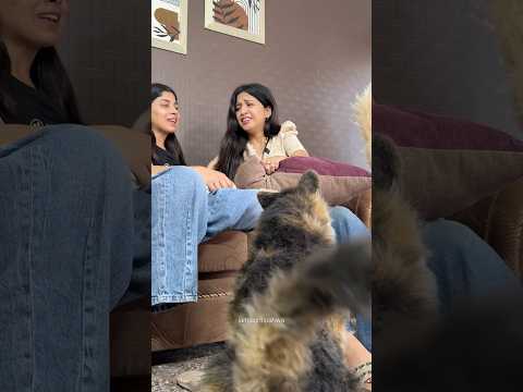 Do You also Get Scared of Dogs?🐕🤣 #germanshepherd #shitzulover #jagritipahwa #petvideos #dogcare