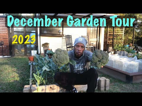 December Garden Tour 2023 #garden #gardening