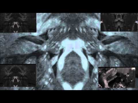 Dari Loso - OFFTHASHIT$PYRAMIDS777 (Official Music Video)