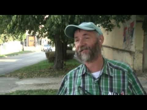 Najezda smrdibuba, kako se zaštititi?