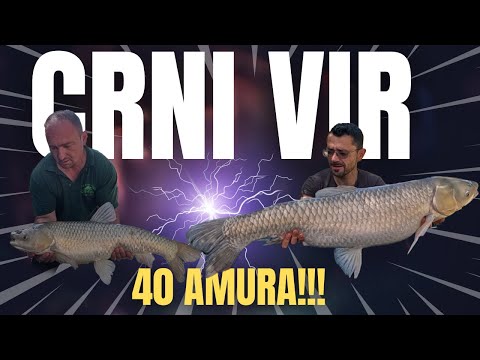 🤯😲💥LUDAČKO PECANJE!!!!💥😲🤯