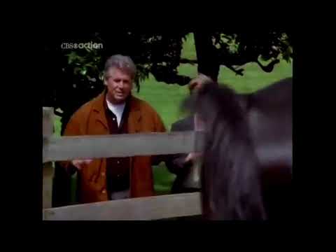 La calda notte dell'assassino/2×1 Omicidio (One Hot Summer Night) 1998