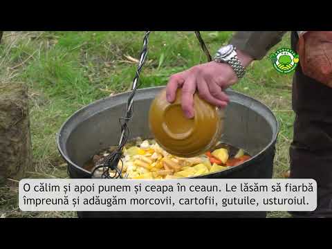 TOCĂNIȚĂ DE MISTREȚ de la MOȘNA