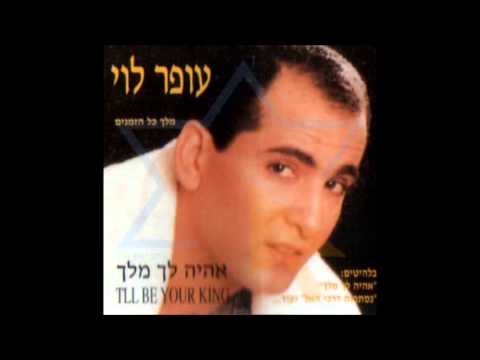 עופר לוי - נגנב ממנה
