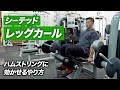 シーテッド・レッグカールのやり方 | 太もも裏を強化する重要種目【ビーレジェンド プロテイン】