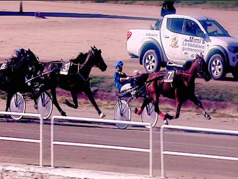 Trotto 15/03/2019 - 2ª corsa