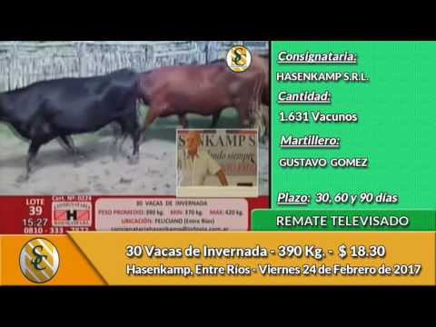 24-02-07 - Venta de Vientres - Remate Televisado de Consignataria Hasenkamp
