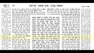 קידושין דף יד