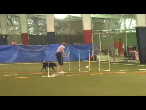 7-4-2010 Linda and Lucy, Chances