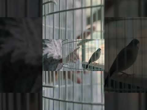 Who felt the same after watching that scene?😥 lee seung gi Mouse korean Drama 2021