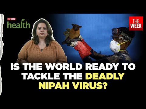 Nipah virus update: India cases and global precautions explained | Health Decoded with THE WEEK