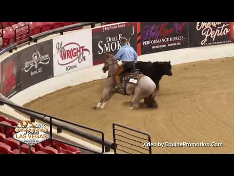 White Knight Time ridden by Cayley Wilson  - 2016 NRCHA Stallion Stakes (Cow Work - Open Stakes)