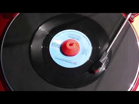 ()))MONO((() The Turtles - She'd Rather Be With Me - Vinyl 45 rpm - 1967