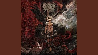 Darkened Grove Music Video