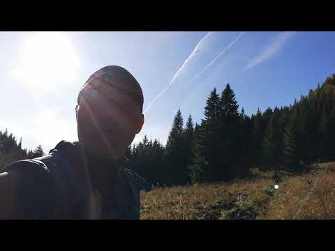 Căminul Alpin - Pichetul Roșu - Gura Diham 03