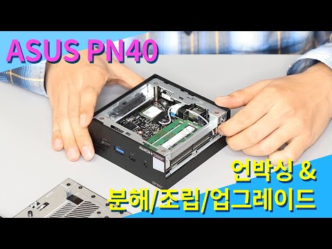 ASUS PN40