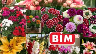 BİMe KASA KASA‼️ ÇİÇEKLER GELMİŞ 📣SAKSI ve BAHÇE ÜRÜNLERİ 