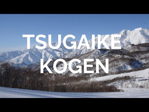 Video: Tsugaike Kogen Ski Resort in Hakuba Japan