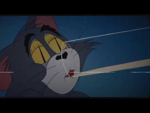 DMK - Na konci světa