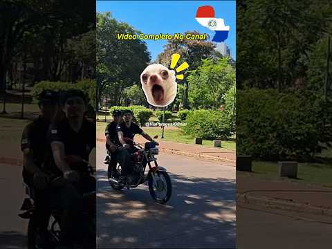 ANDANDO POR CIUDAD DEL ESTE NO PARAGUAI MOSTRANDO AS CURIOSIDADES E A SEDE DO GOVERNO DO ALTO PARANÁ
