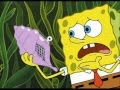 An Unexpected Answer From The Magic Conch Shell