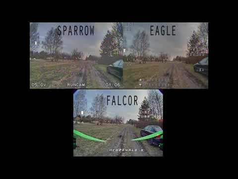 falkor-vs-eagle-vs-sparrow