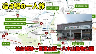 【一人旅】可愛い動物と業の深い動物園、そしてふれあい体験！！！仙台城跡～八木山動物公園【追ヰ鰹の一人旅】part 3#仙台 #るーぷる仙台 #初東北 #初一人旅 #八木山動物公園