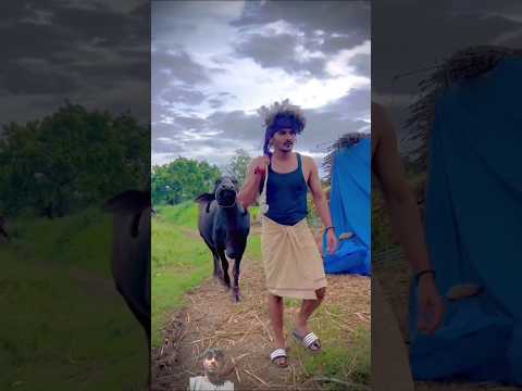 Kya hay 😂😅.... Mr azmaik ll #nhroshni #azmaik #comedy #horse #funny #funnyface #comedymoments 🔥🔥🔥