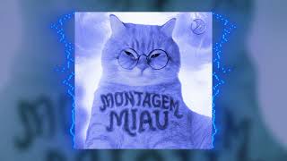 Download lagu Montagem Miau (TIKTOK VERSION) mp3