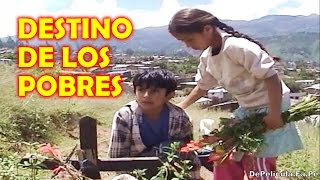preview picture of video 'EL DESTINO DE LOS POBRES ~ Película Completa'
