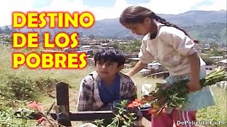 EL DESTINO DE LOS POBRES ~ Película Completa