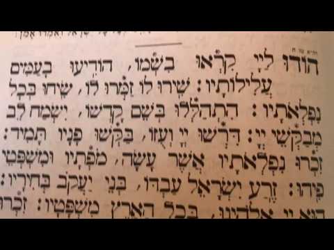 Tefilah 1 Hodu - Jewish Morning Prayer - Sharcharis - תפילה 1 הודו – שחרית