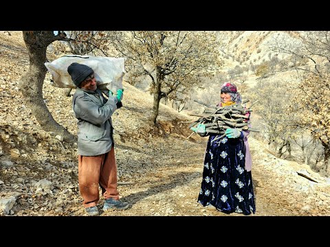 Winter Survival: Will This Forest Be Enough? - A Couple's Journey for Warmth