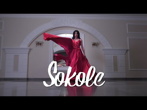Dražen Zečić - Sokole (Official lyric video)