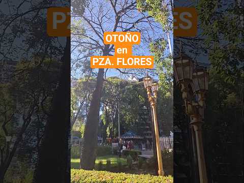 Comienza el otoño y la Plaza Flores nos regala esto