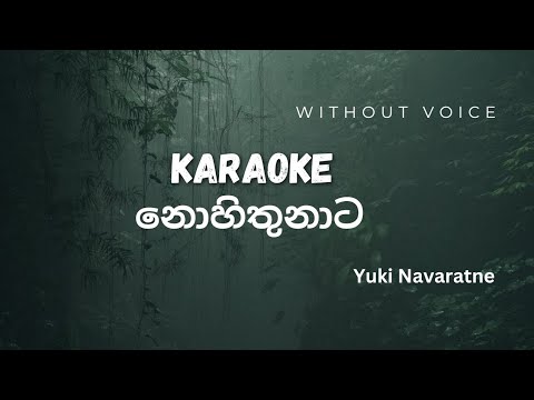 Nohithunata-Yuki නොහිතුනාට Karaoke Video