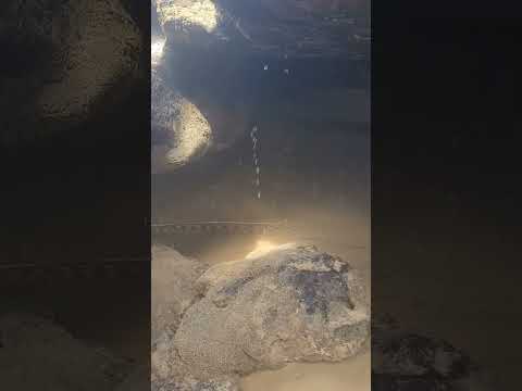 Pedra Oca Imperdivel em Nisia Floresta #riograndedonorte #paisagemnatural