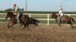preview picture of video 'Working Ranch Horse'