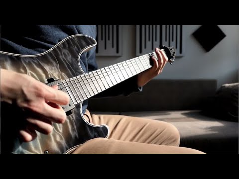 Widek - Gravity (feat. David Maxim Micic)