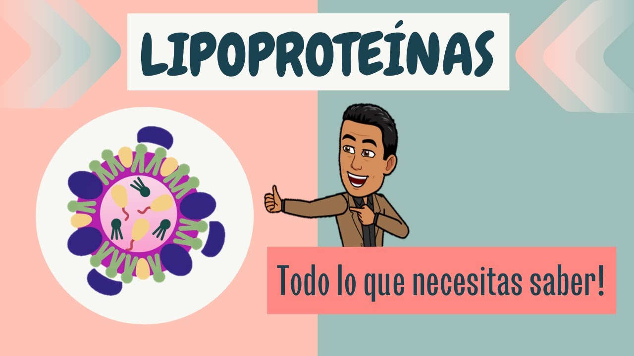 LIPOPROTEÍNAS ▶️para Principiantes◀️ (5+1 TIPS de estudio para Aprender de forma FÁCIL!!!)😉