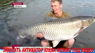 Картина. поповича не взяли на рыбалку