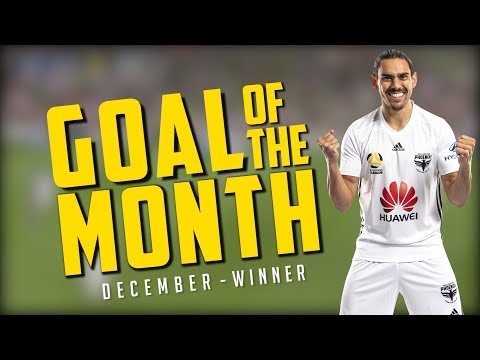 Goal of the Month - December Winner