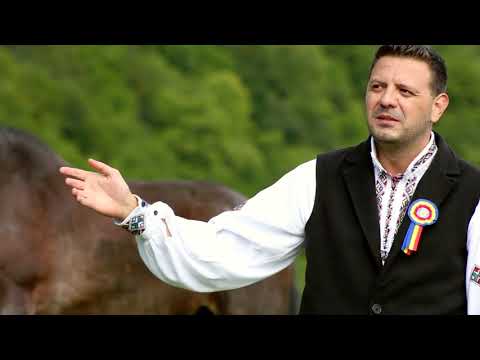 Mihai Trif - Mandra in inima me 2018